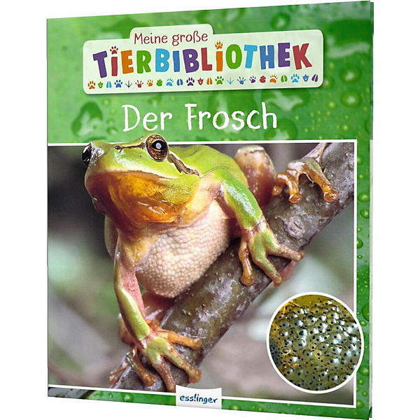 Der Frosch