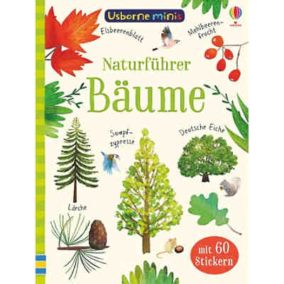 Naturführer: Bäume