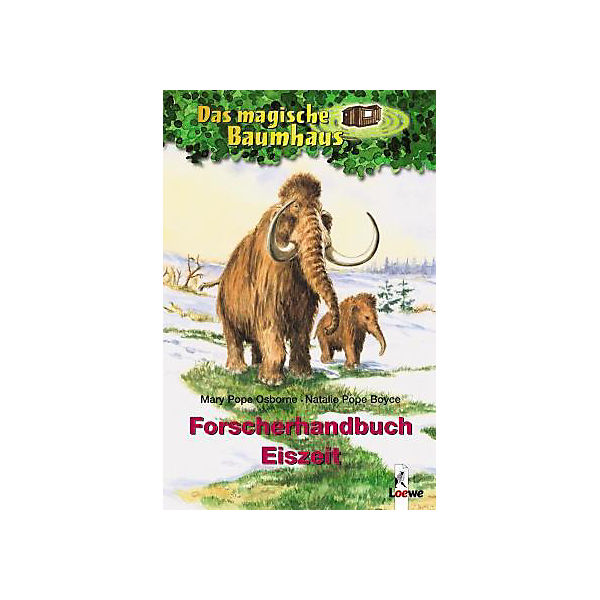 Forscherhandbuch Eiszeit