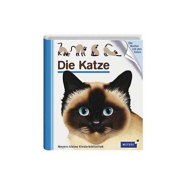Die Katze