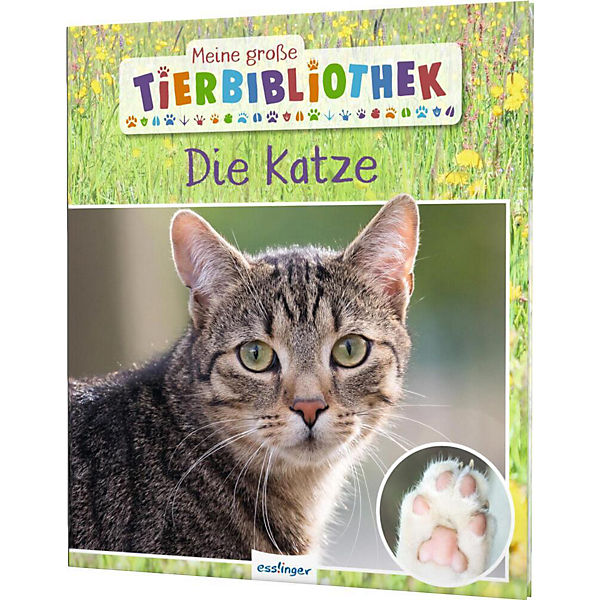 Meine große Tierbibliothek: Die Katze