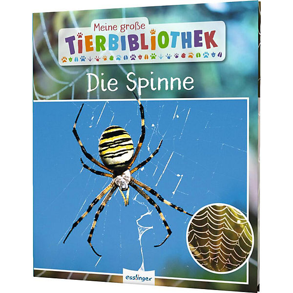 Meine große Tierbibliothek: Die Spinne