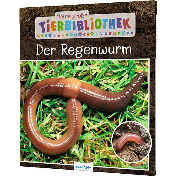 Meine große Tierbibliothek: Der Regenwurm