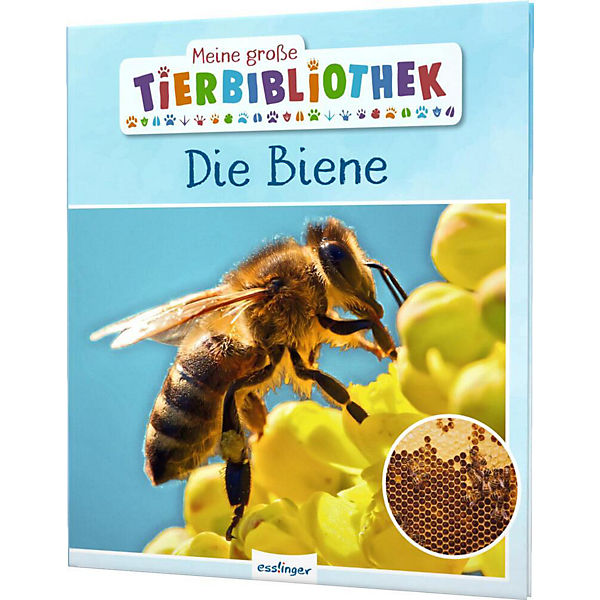 Meine große Tierbilbiothek: Die Biene