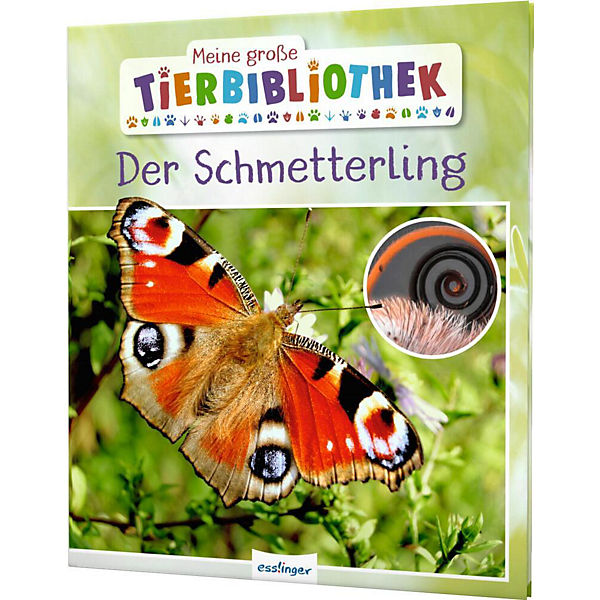 Meine große Tierbibliothek: Der Schmetterling