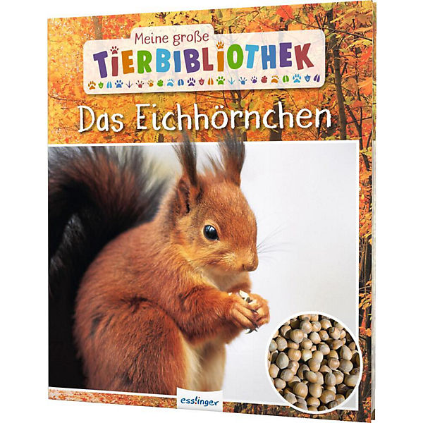 Meine große Tierbibliothek: Das Eichhörnchen