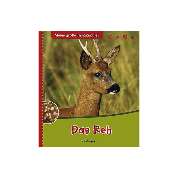 Meine große Tierbibliothek: Das Reh