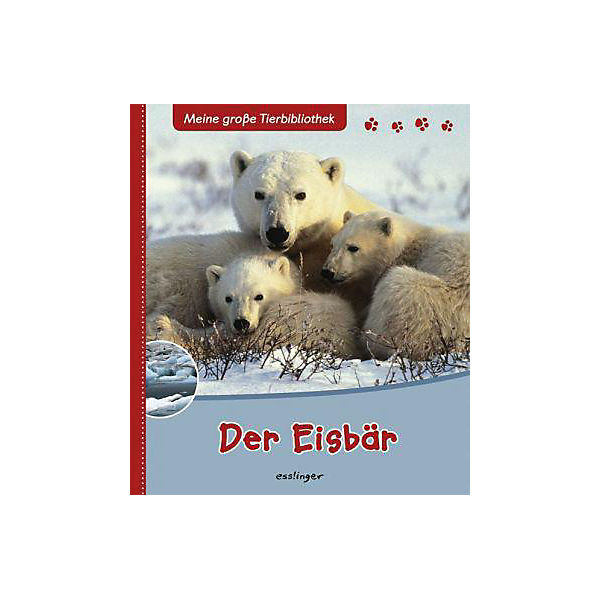 Meine große Tierbibliothek: Der Eisbär