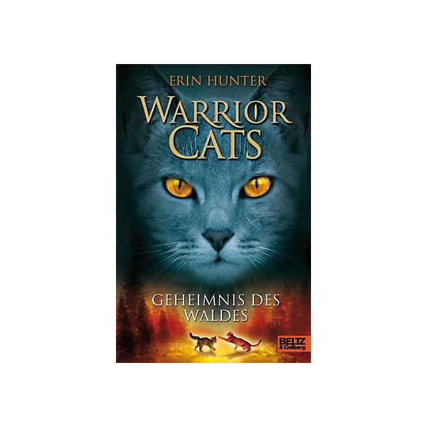Warrior Cats: Geheimnis des Waldes, Band 3
