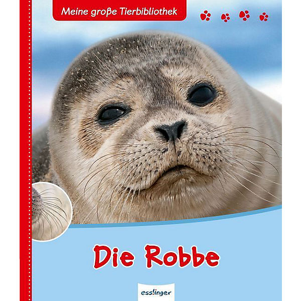 Meine große Tierbilbiothek: Die Robbe