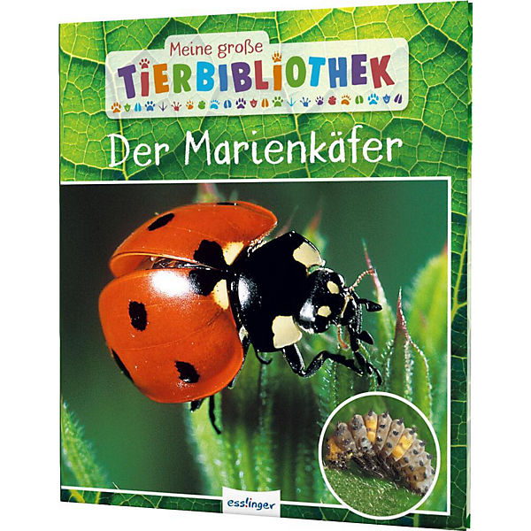 Meine große Tierbibliothek: Der Marienkäfer