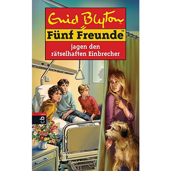 Fünf Freunde jagen den rätselhaften Einbrecher