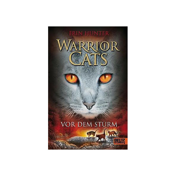 Warrior Cats: Vor dem Sturm, Band 4