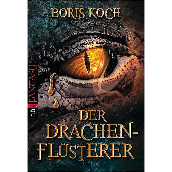 Der Drachenflüsterer