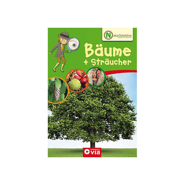 Naturdetektive: Bäume und Sträucher