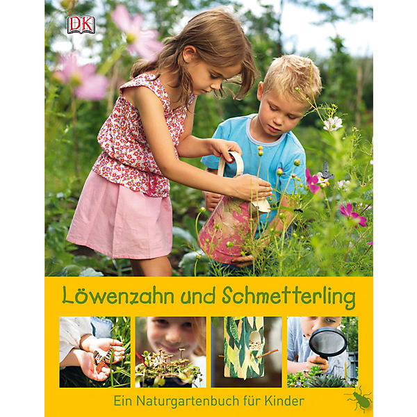 Löwenzahn und Schmetterling