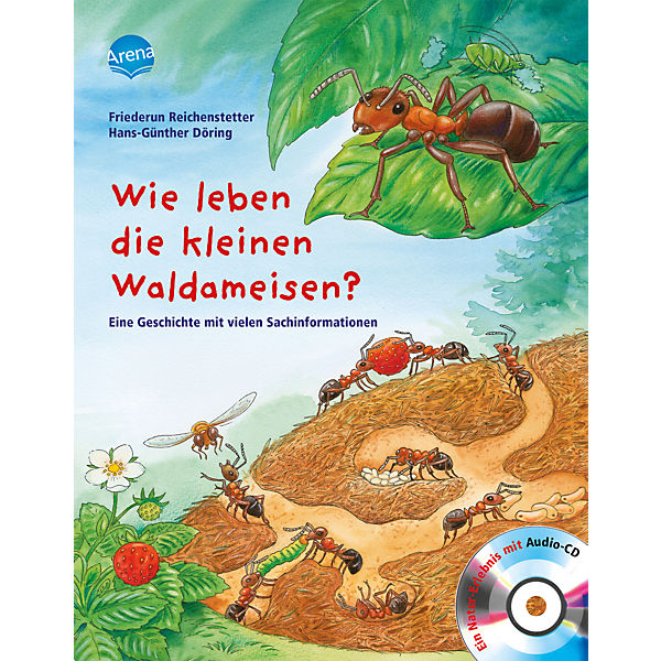 Wie leben die kleinen Waldameisen?