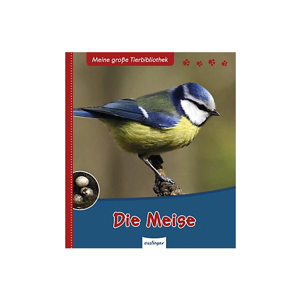 Meine große Tierbibliothek: Die Meise