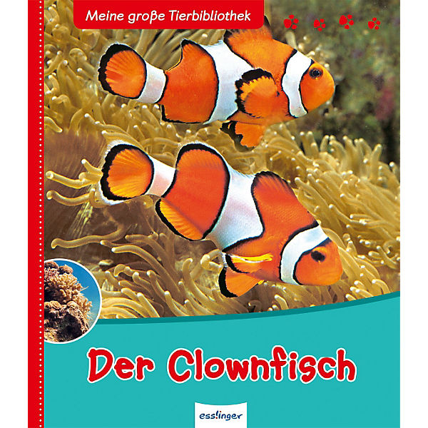 Meine große Tierbibliothek: Der Clownfisch