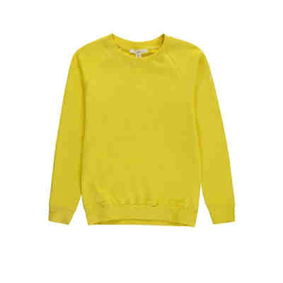 Sweatshirt Sweatshirts für Jungen