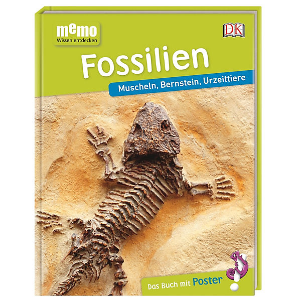 memo, Wissen entdecken: Fossilien