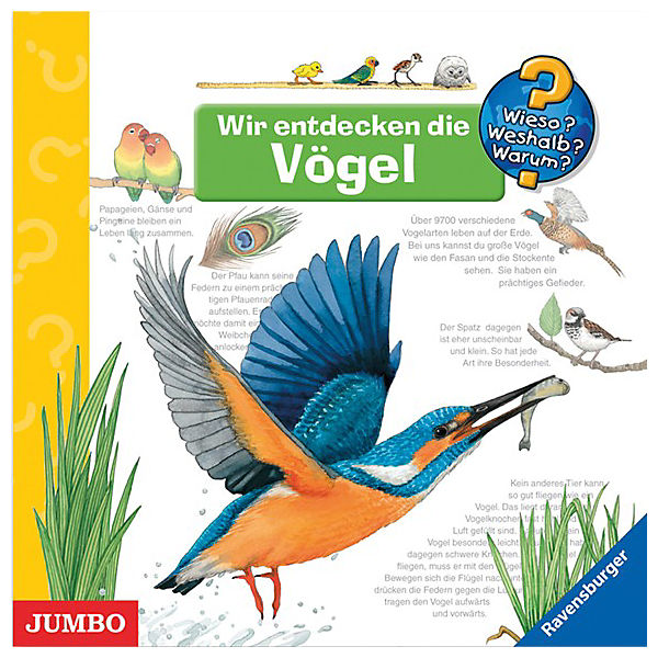 CD Wieso? Weshalb? Warum? Wir entdecken die Vögel