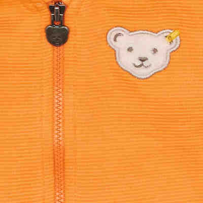 Sweatjacke Roarsome mit Kapuze Sweatjacken 2