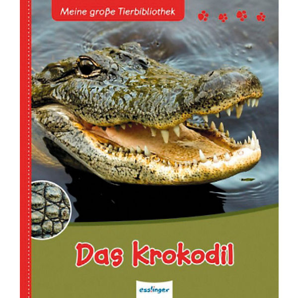 Meine große Tierbibliothek: Das Krokodil