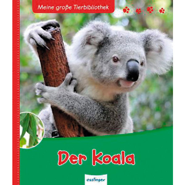 Meine große Tierbibliothek: Der Koala