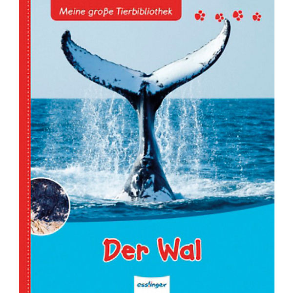 Meine große Tierbibliothek: Der Wal