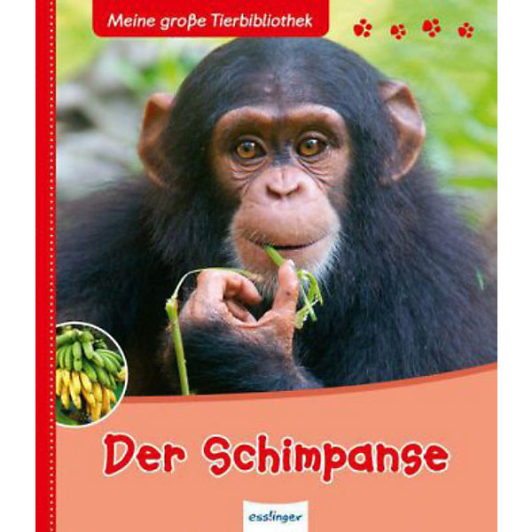 Meine große Tier-Bibliothek: Der Schimpanse