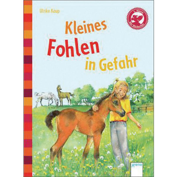 Der Bücherbär: Kleines Fohlen in Gefahr