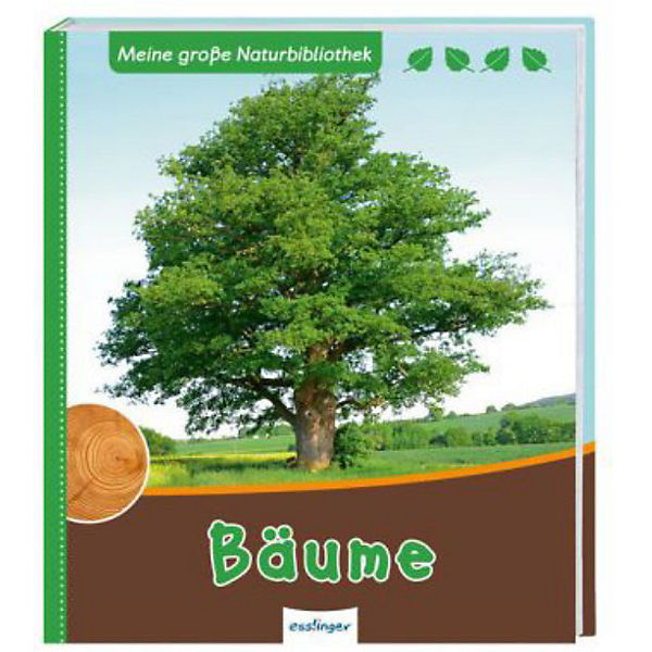 Bäume
