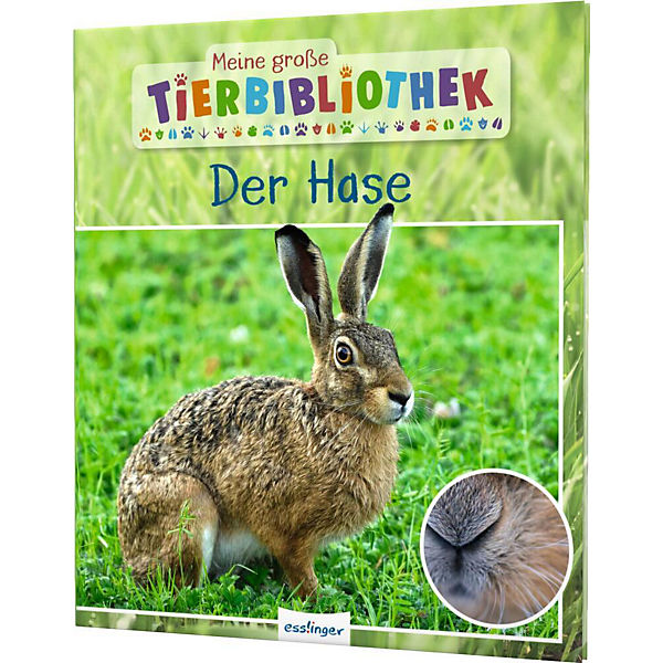 Der Hase