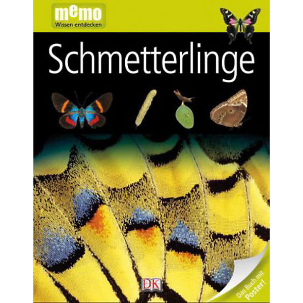 memo, Wissen entdecken: Schmetterlinge