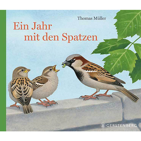 Ein Jahr mit den Spatzen