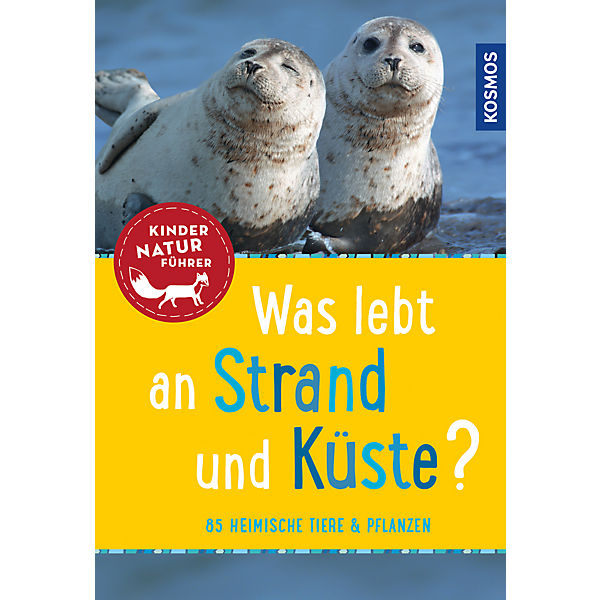 Mein erstes: Was lebt an Strand und Küste?