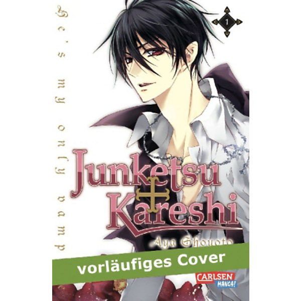 Junketsu + Kareshi