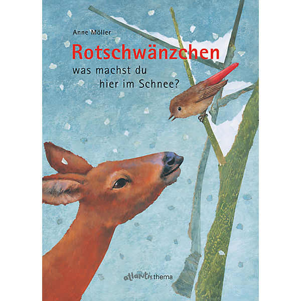 Rotschwänzchen was machst du hier im Schnee?