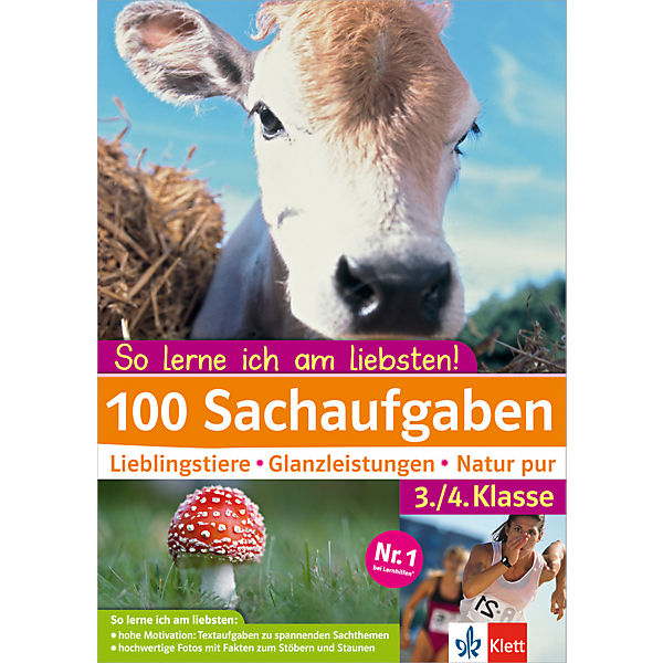 100 Sachaufgaben 3./4. Klasse
