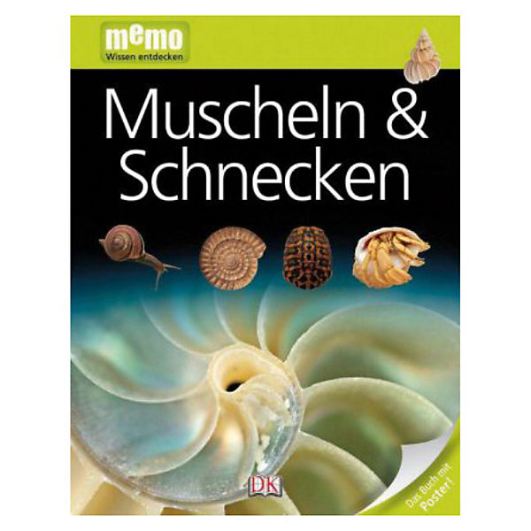 memo, Wissen entdecken: Muscheln & Schnecken