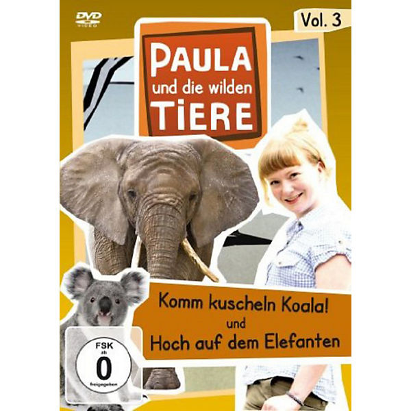 DVD Paula und die wilden Tiere 3 - Komm kuscheln Koala