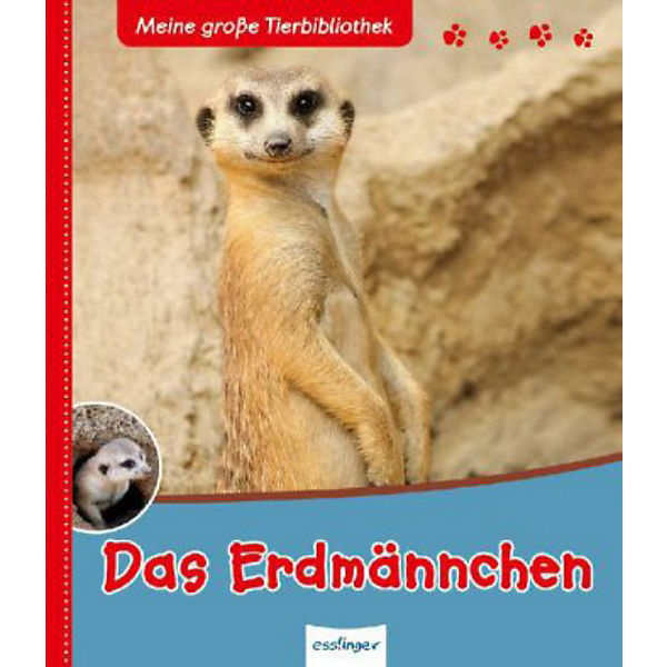 Meine große Tier-Bibliothek: Das Erdmännchen