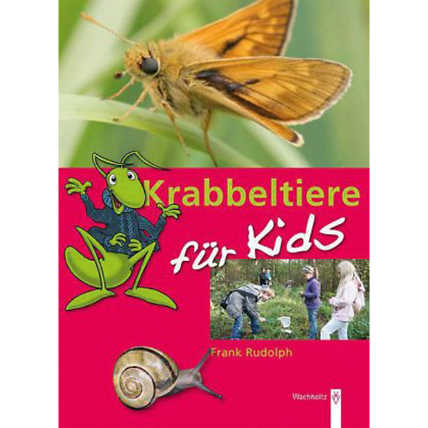 Krabbeltiere für Kids