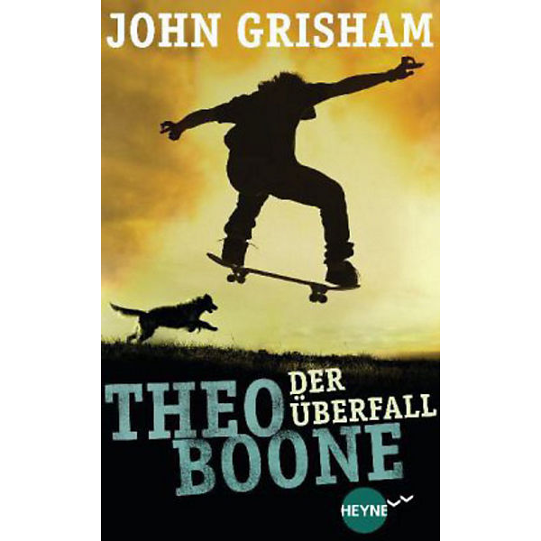 Theo Boone - Der Überfall