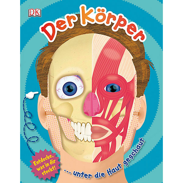 Der Körper - unter die Haut geschaut