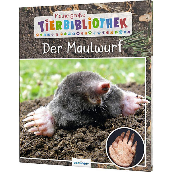 Meine große Tier-Bibliothek: Der Maulwurf