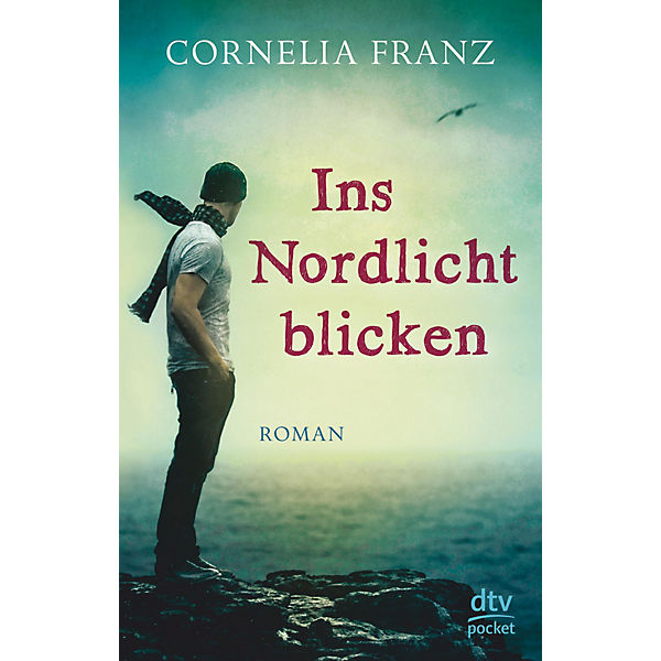 Ins Nordlicht blicken
