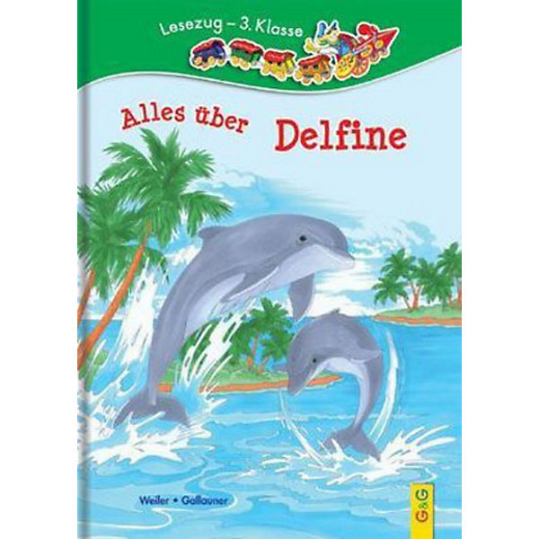 Alles über Delfine
