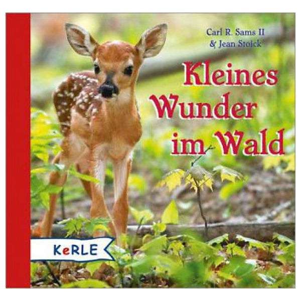Kleines Wunder im Wald